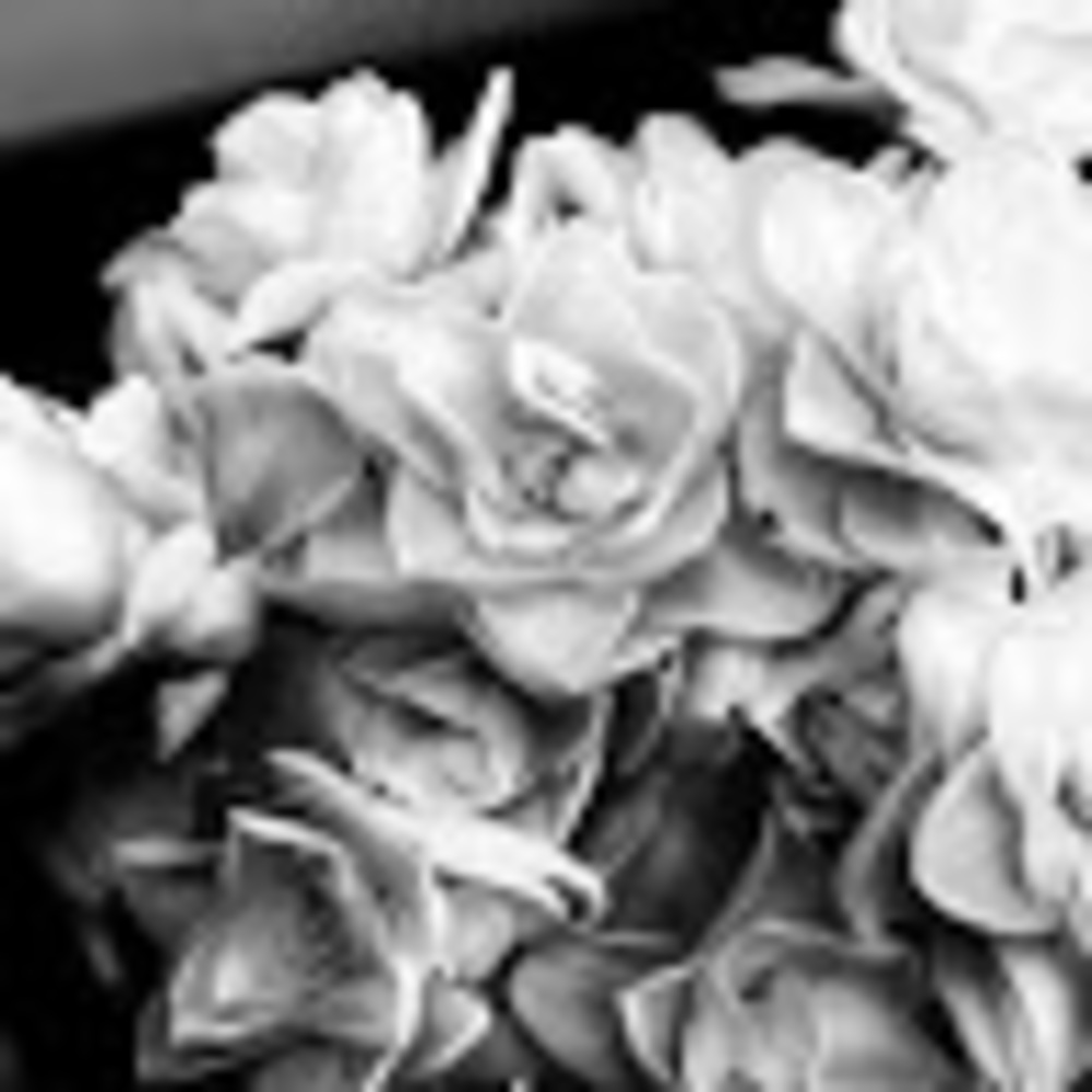 Meet your Posher, Vivian